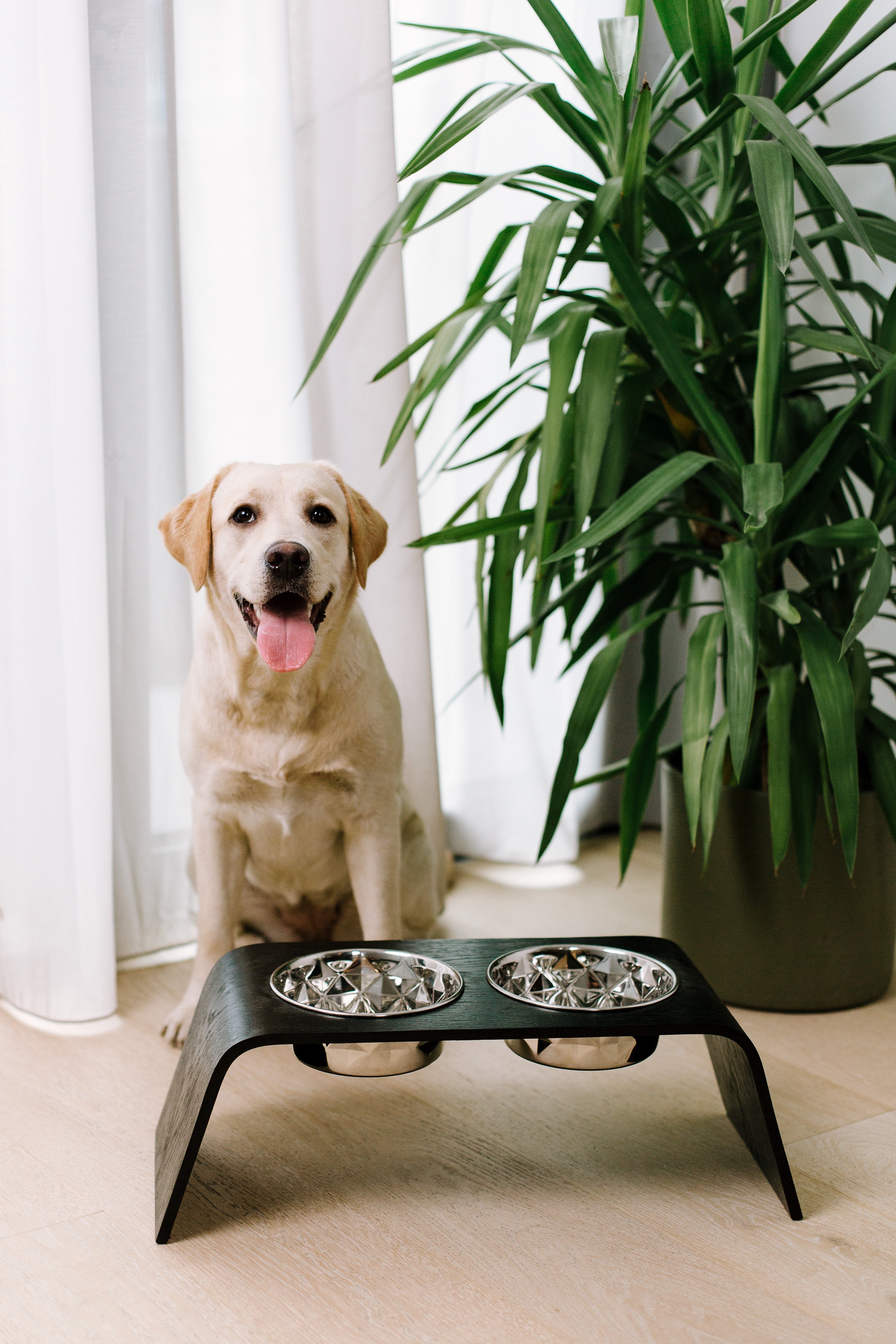 Pet Bowl Stands