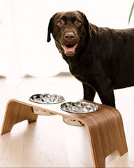 Dog standing next to a wooden pet table with two bowls on a light background