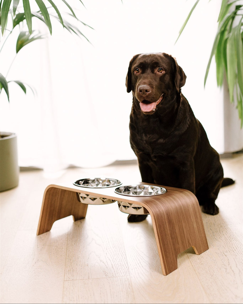 Dog sitting next to a elevated pet feeding station with two bowls indoors.