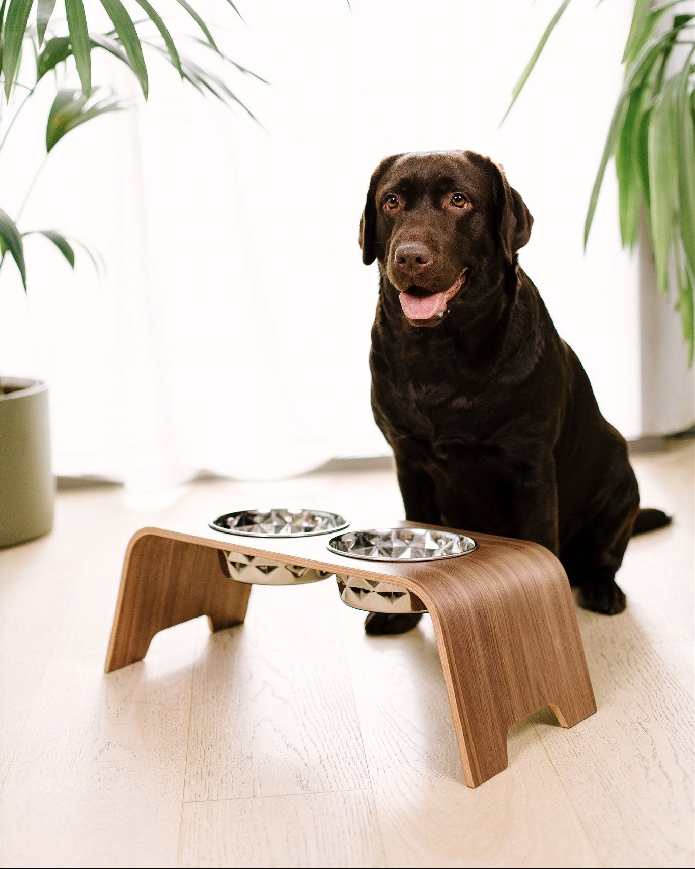 Dog sitting next to a elevated pet feeding station with two bowls indoors.