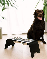 Dog sitting next to a black elevated dog feeder with two bowls indoors.
