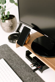 MagSafe charger ZEBRANO