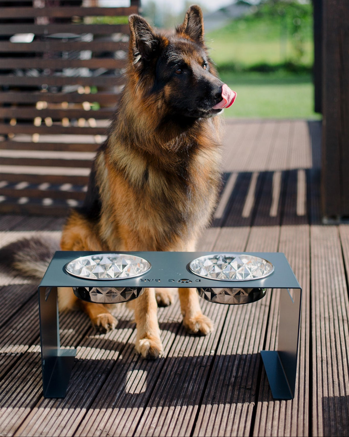 Large Dog Bowl Stand