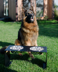German Shepherd sitting on a grassy area with a black elevated dog bowl in front of a wooden cabin.