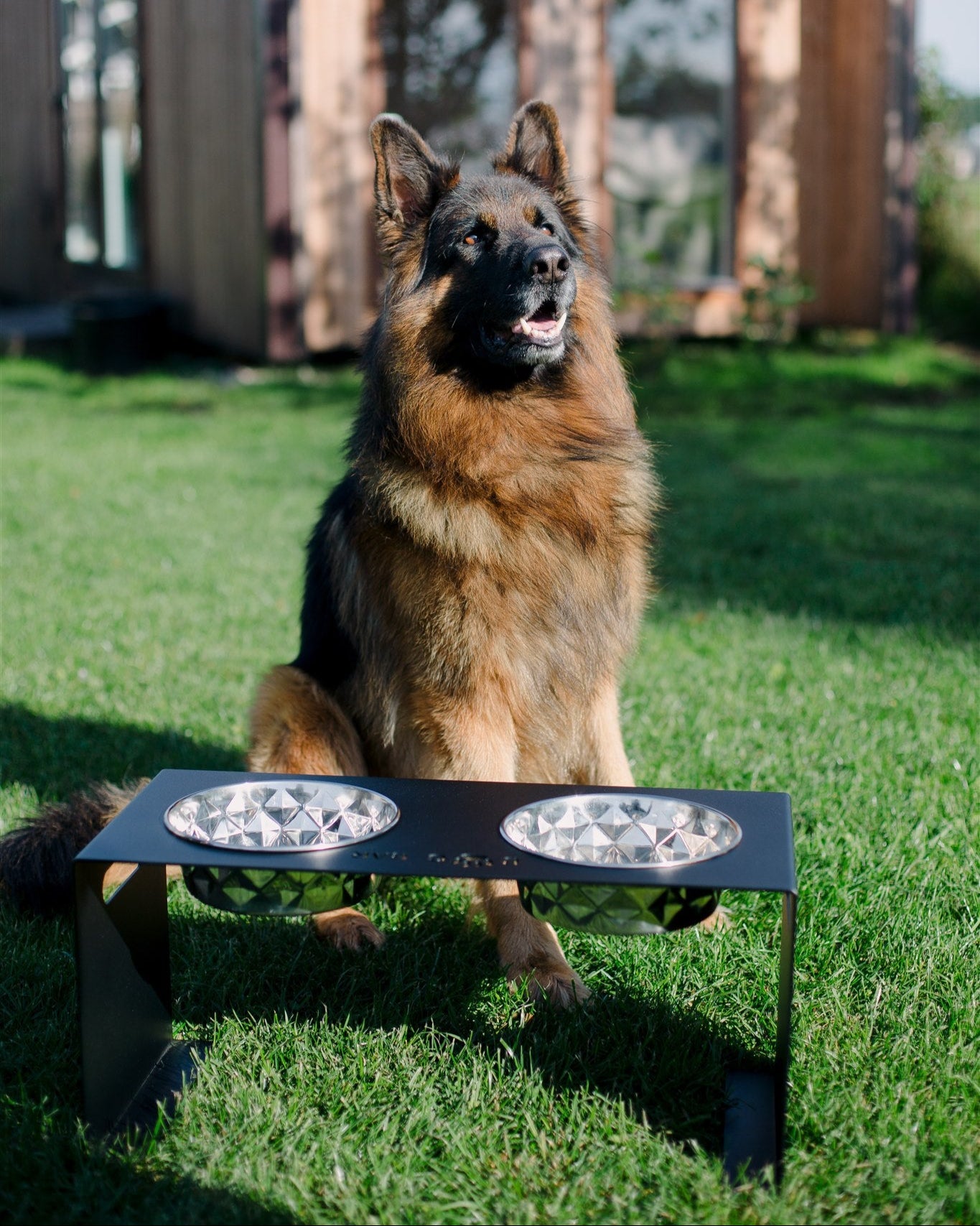 German Shepherd sitting on a grassy area with a black elevated dog bowl in front of a wooden cabin.