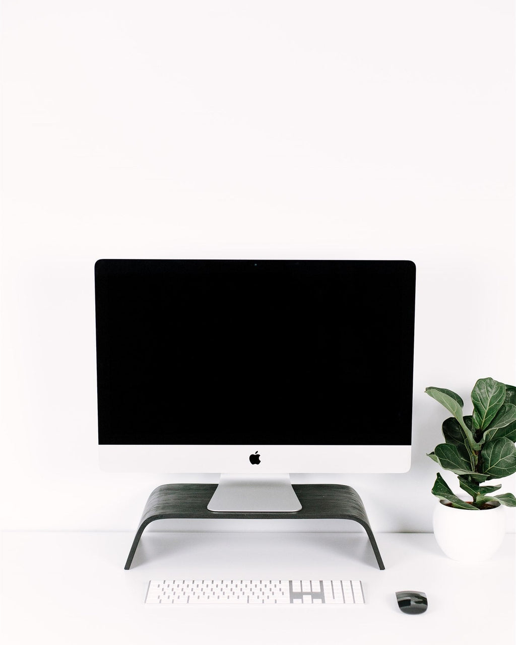 Computer monitor on a white desk with a plant in the corner