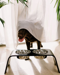 Dog Bowl Stand 2.0