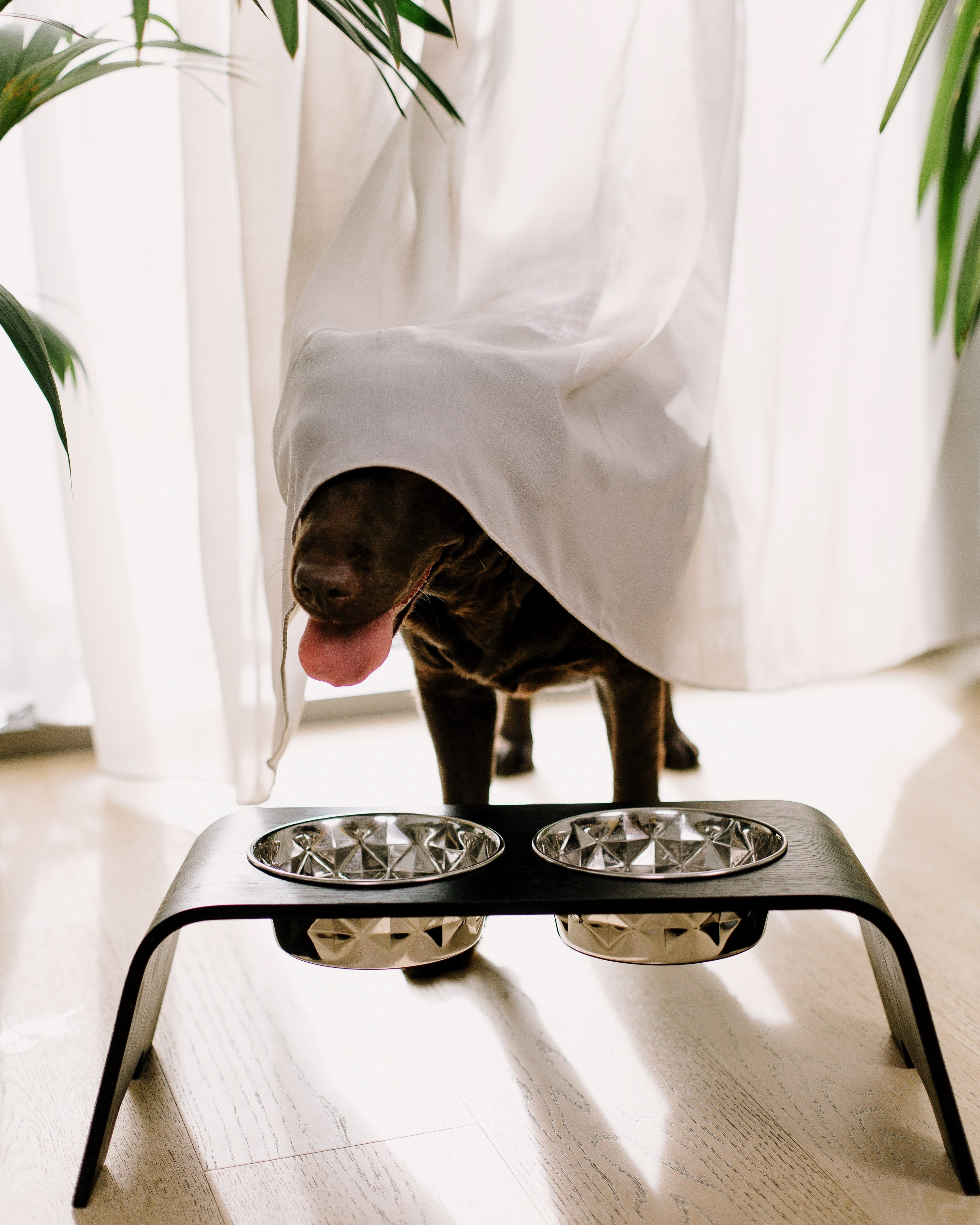 Dog Bowl Stand 2.0