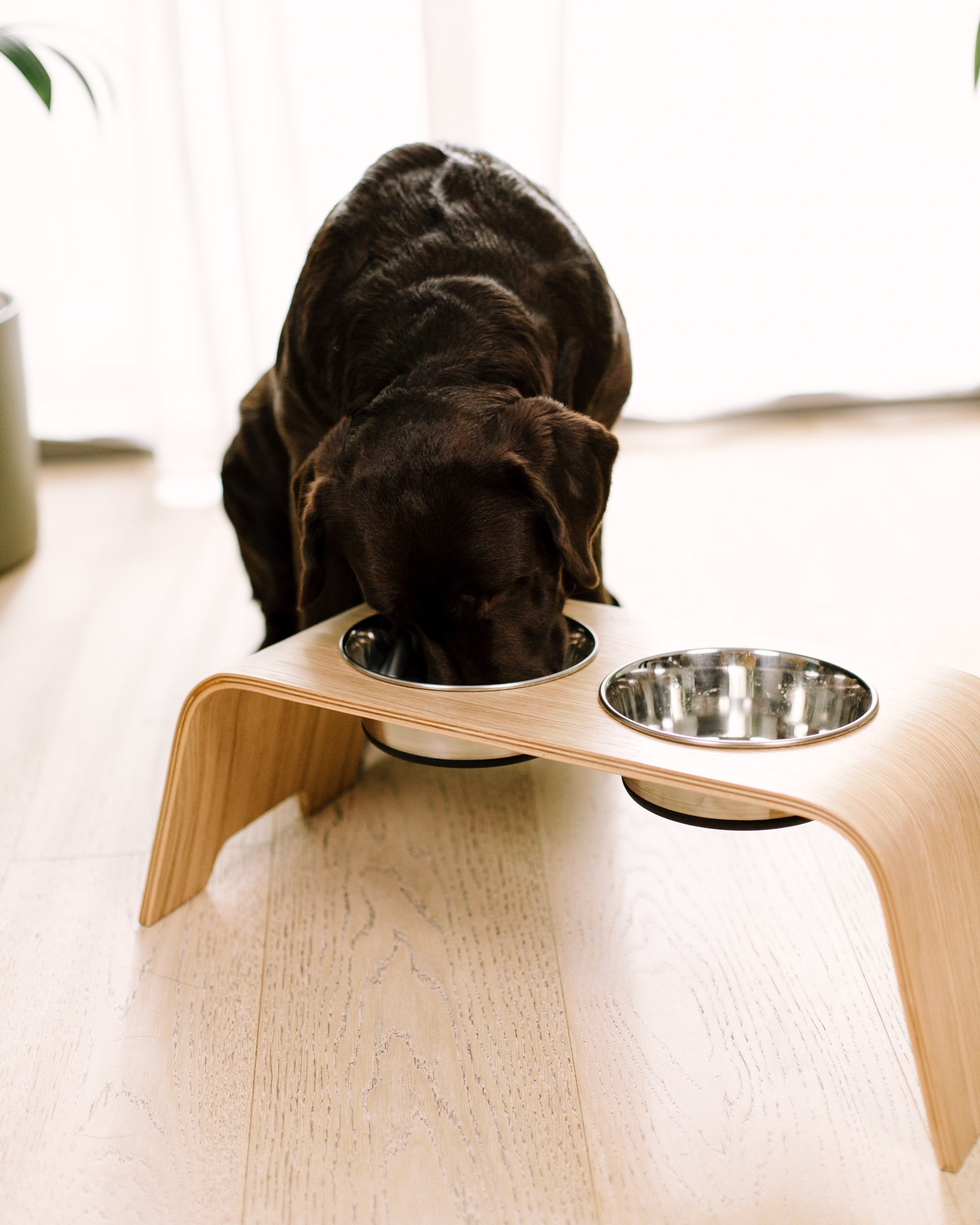Dog Bowl Stand 2.0