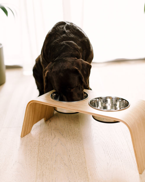 Dog Bowl Stand 2.0