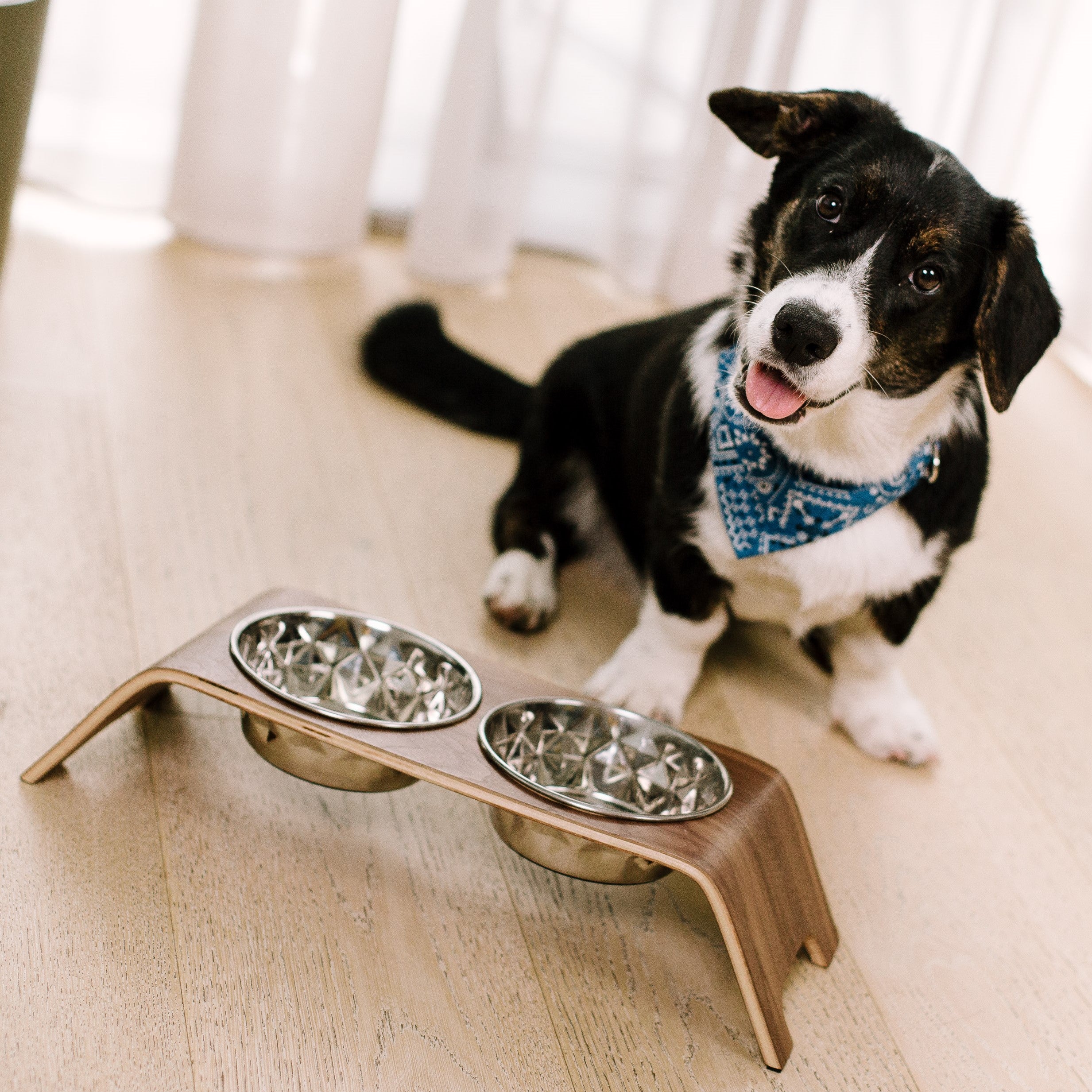 Premium Dog Bowl Stand for Small Dog Breeds
