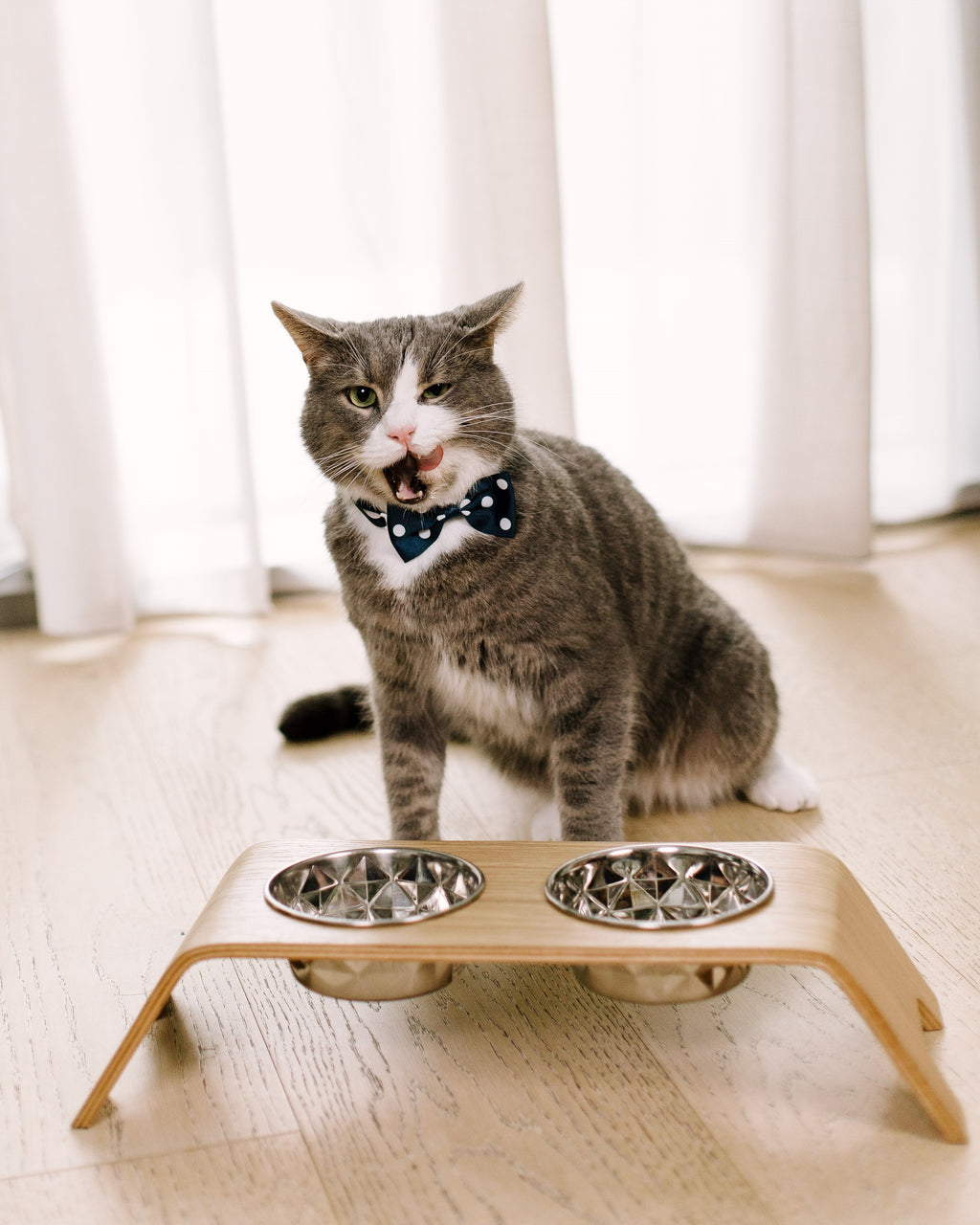 Premium Raised Cat Bowl Stand