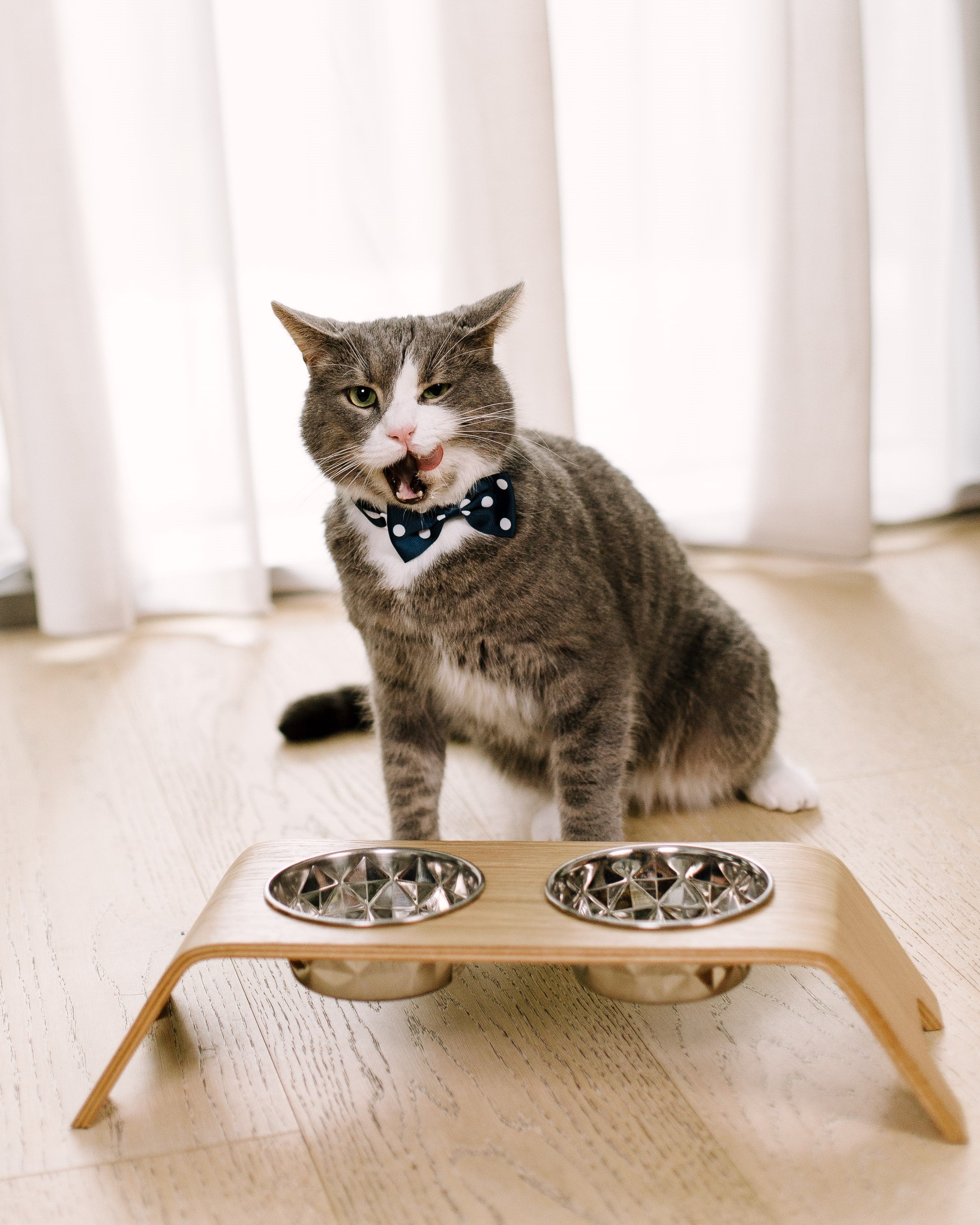 Premium Raised Cat Bowl Stand