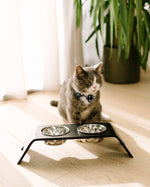 Load image into Gallery viewer, Premium Raised Cat Bowl Stand
