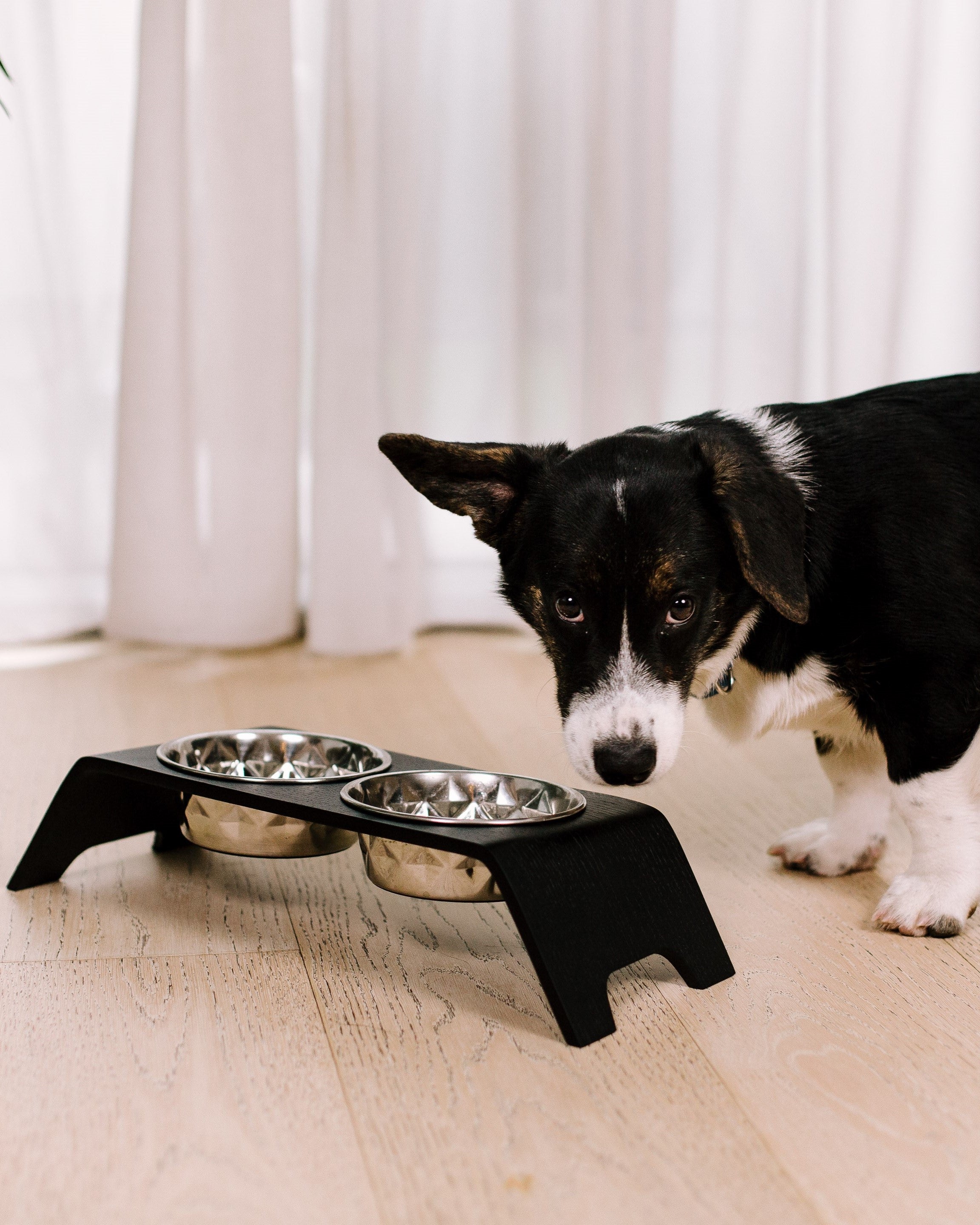 Premium Dog Bowl Stand for Small Dog Breeds
