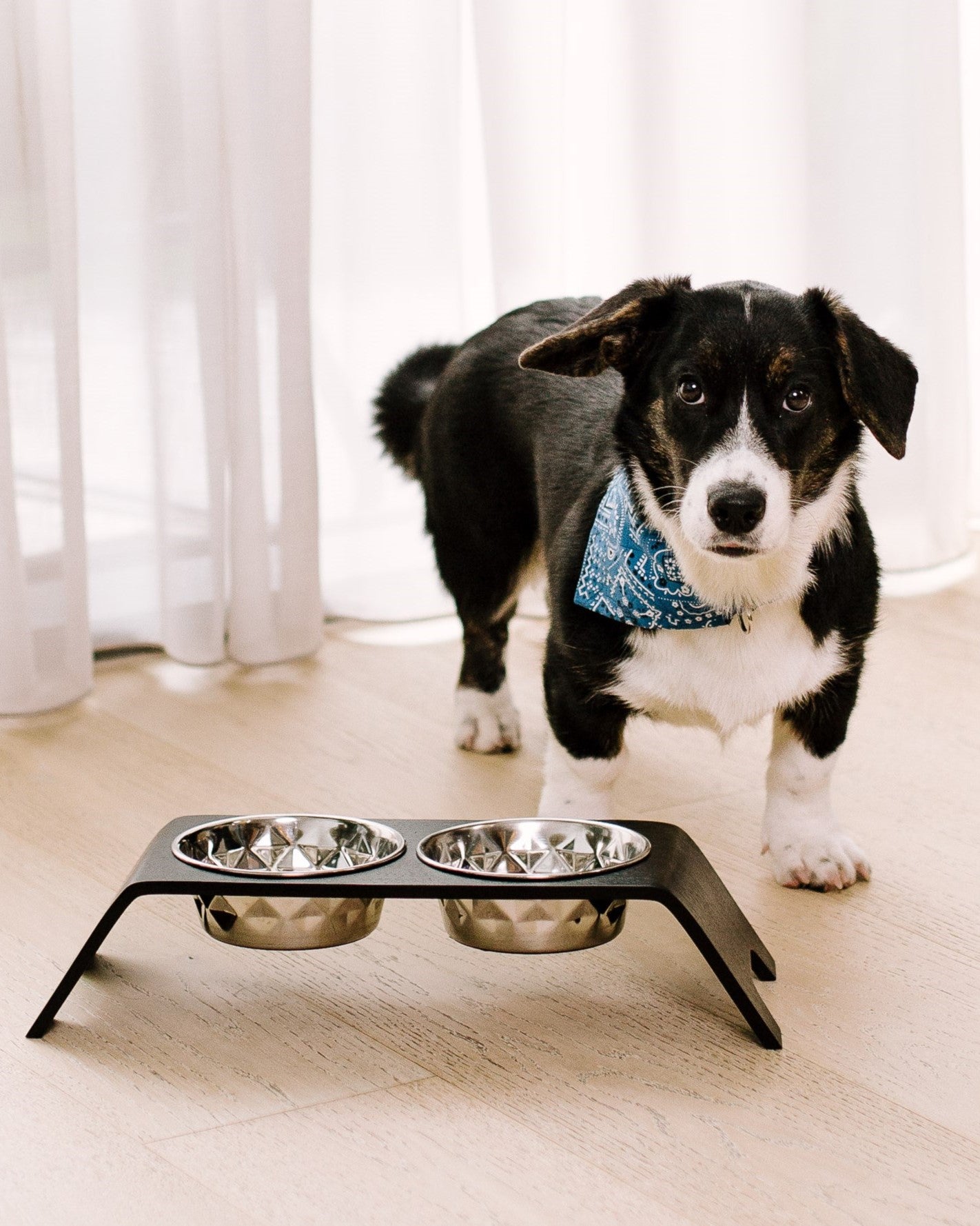 Premium Dog Bowl Stand for Small Dog Breeds