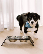 Ielādējiet attēlu galerijas skatītājā, Premium Dog Bowl Stand for Small Dog Breeds

