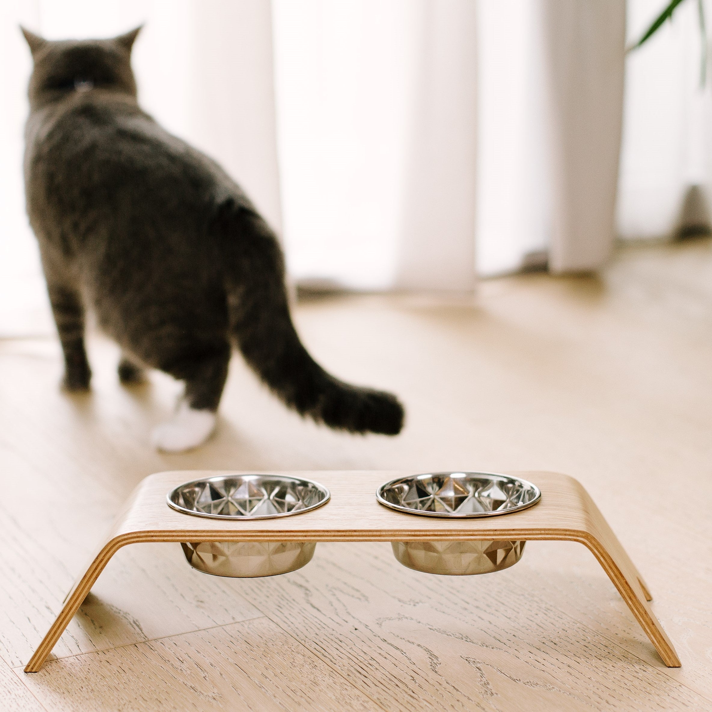 Premium Raised Cat Bowl Stand
