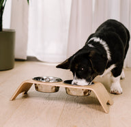 Premium Dog Bowl Stand for Small Dog Breeds