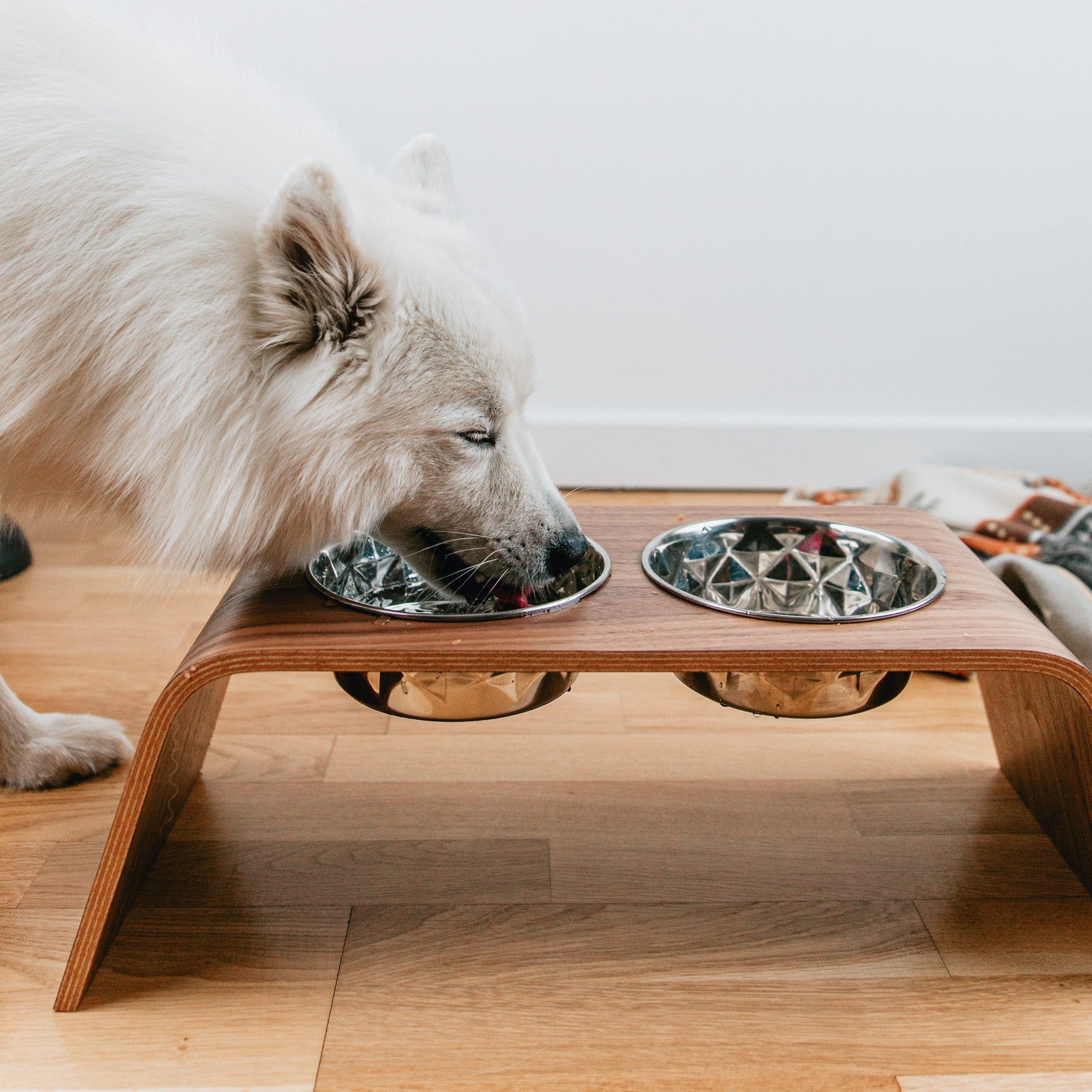 Pet Food Bowl Stand