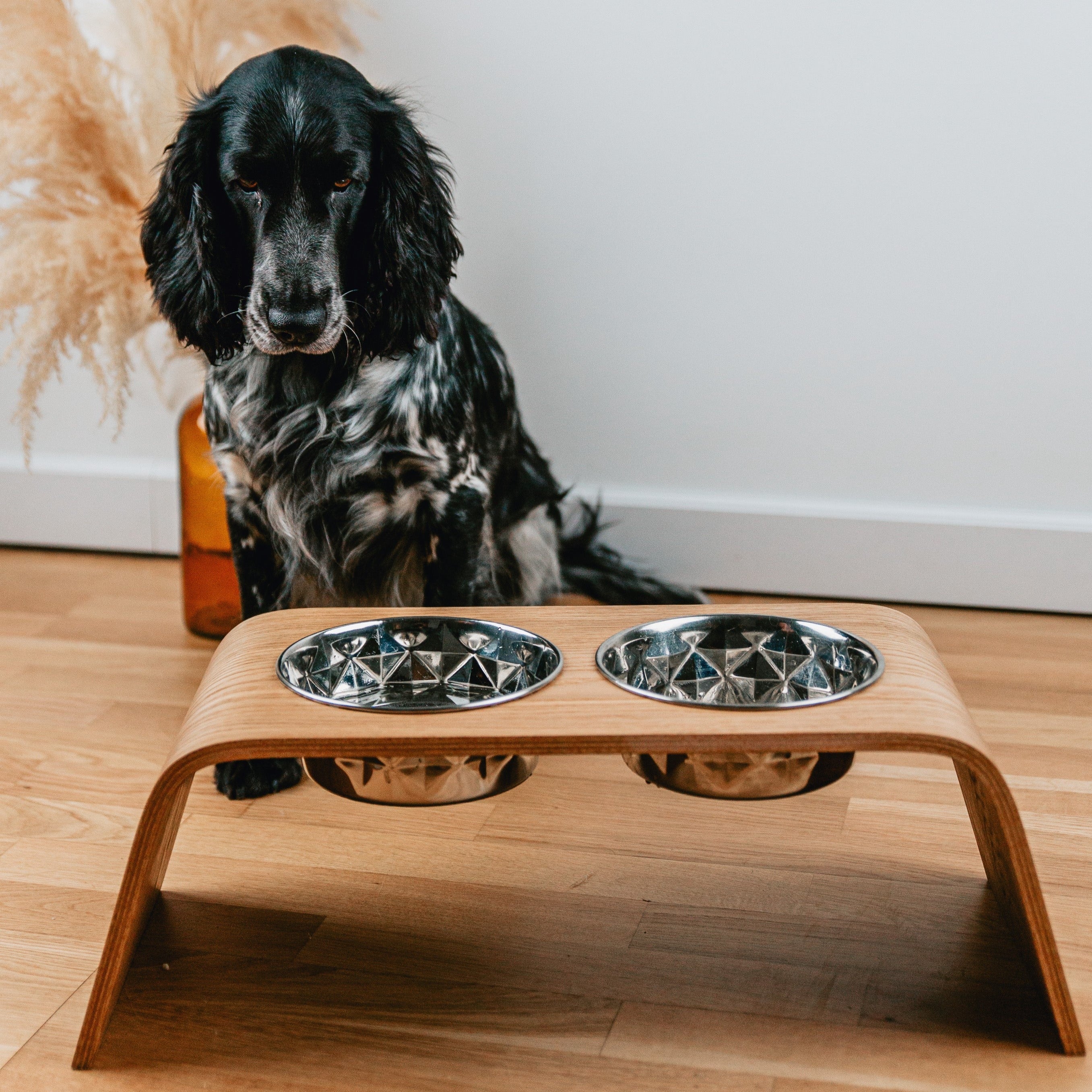 Pet Food Bowl Stand
