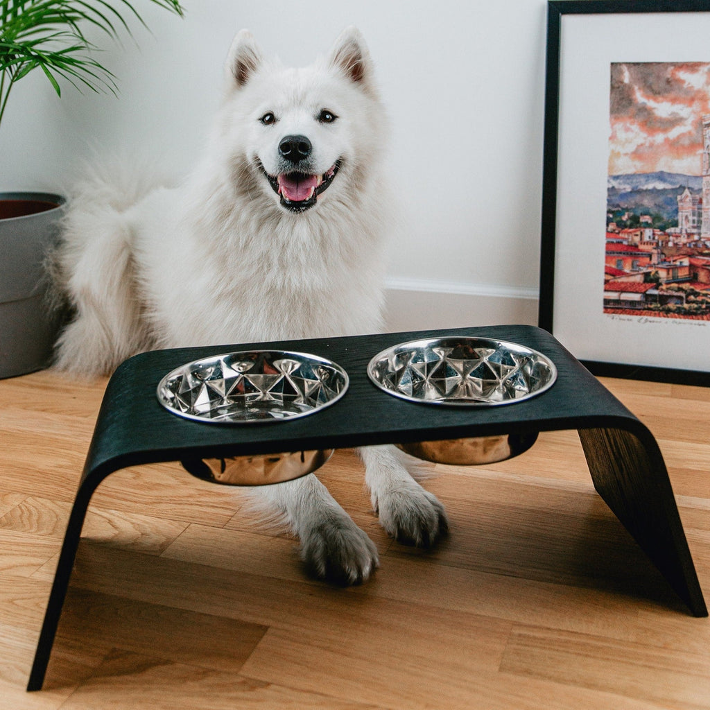 Pet Food Bowl Stand