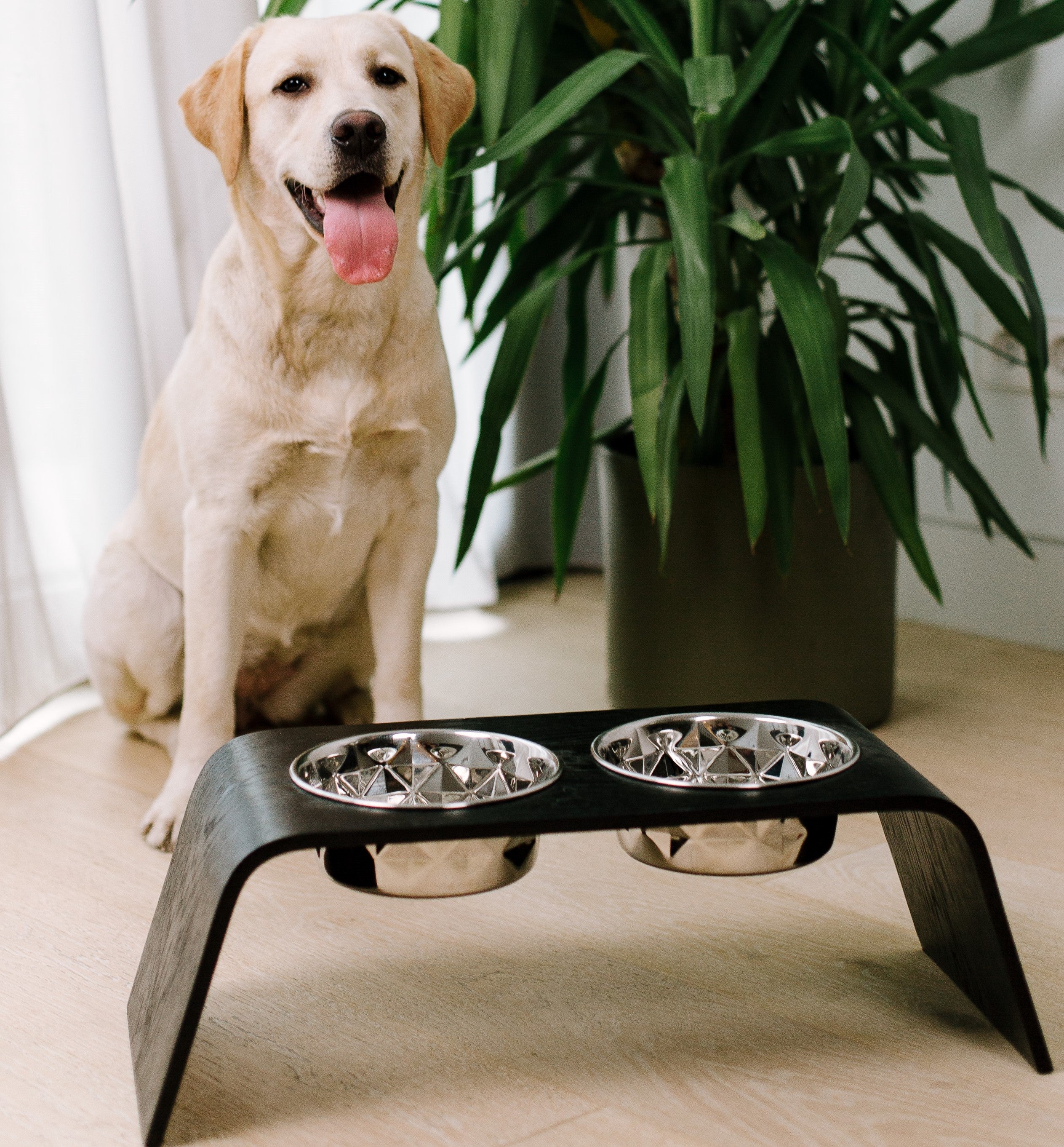 Pet Food Bowl Stand